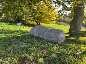 Ein großer, alter Findling ruht auf einer Wiese, umgeben von Herbstlaub unter einem Baum.