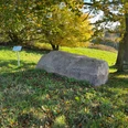 Findling Ein großer, alter Findling ruht auf einer Wiese, umgeben von Herbstlaub unter einem Baum.