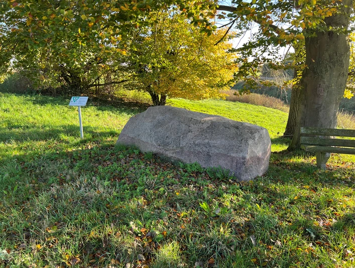 Findling Ein großer, alter Findling ruht auf einer Wiese, umgeben von Herbstlaub unter einem Baum.