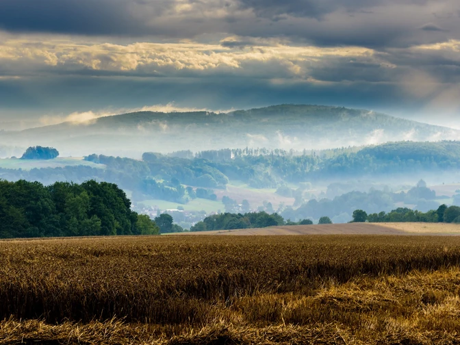 71 Galgenberg DSC0668 2