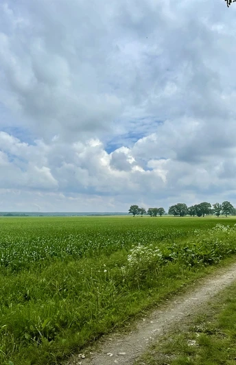 Blick auf die Felder bei Medingen
