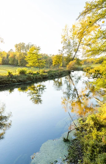 Ilmenau bei Medingen