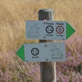 Klein Bünstorfer Heide Beschilderung