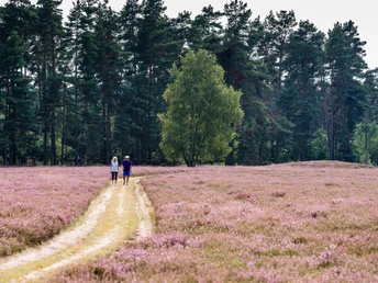 Wanderer in der Klein Bünstorfer Heide