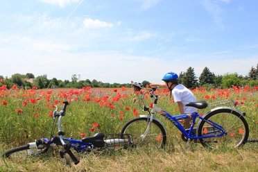 Radweg bei Canitz, Thallwitz