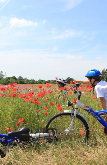 Radweg bei Canitz, Thallwitz