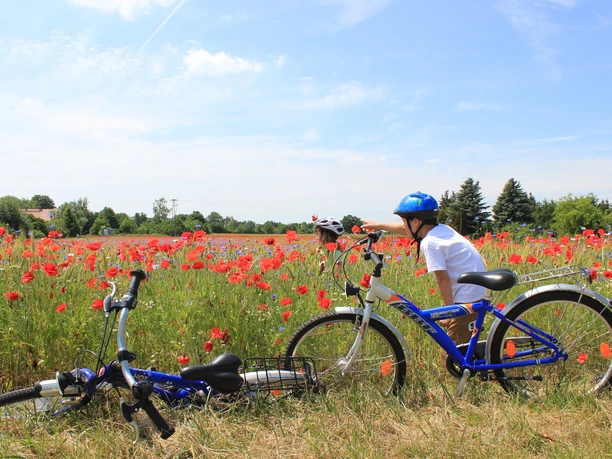 Radweg bei Canitz, Thallwitz