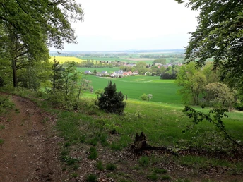 Blick vom Kirschberg auf Hohburg, Lossatal