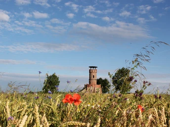 Aussichtsturm Johannas Höh in Pyrna
