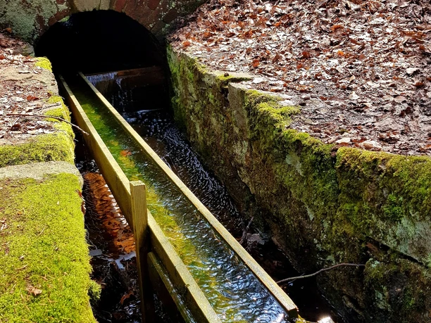 Wasserrad im Landschaftsschutzgebiet Erzengler Teich