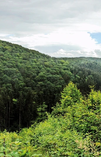 Natursteig Etappe 04