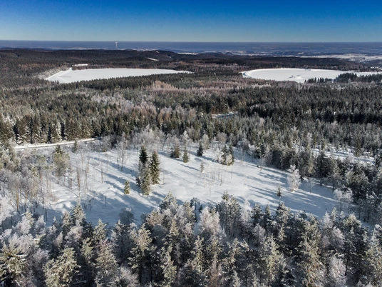 Die Galgenteiche im Winter