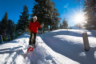 Schneeschuhlaufen rund um den Arnisee