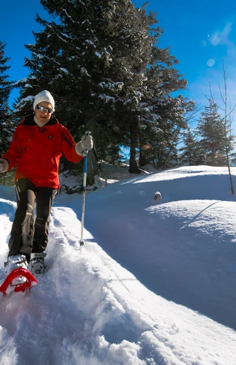 Schneeschuhlaufen rund um den Arnisee