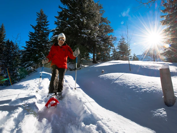 Schneeschuhlaufen rund um den Arnisee