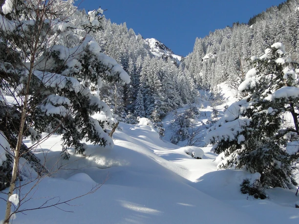 Verschneite Landschaft auf Arni oberhalb von Amsteg
