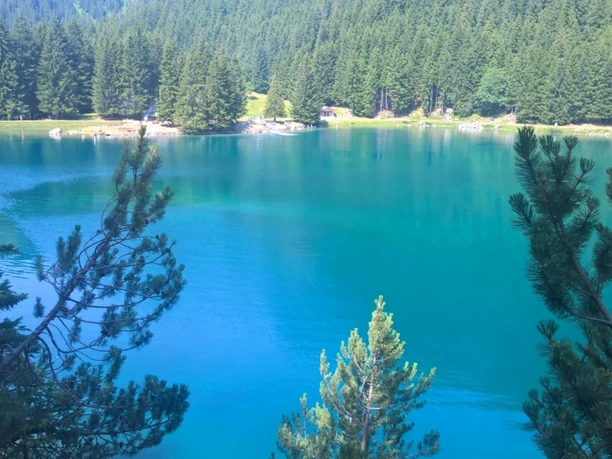 Arnisee