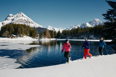 Arnisee