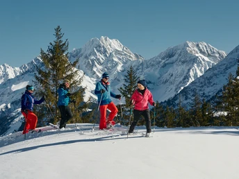 Schneeschuhlaufen Arni