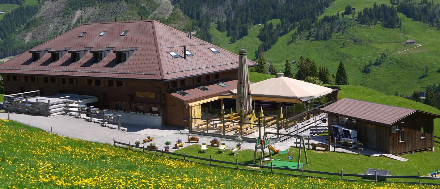 Skihütte & Alphotel Schwand Sommer.JPG