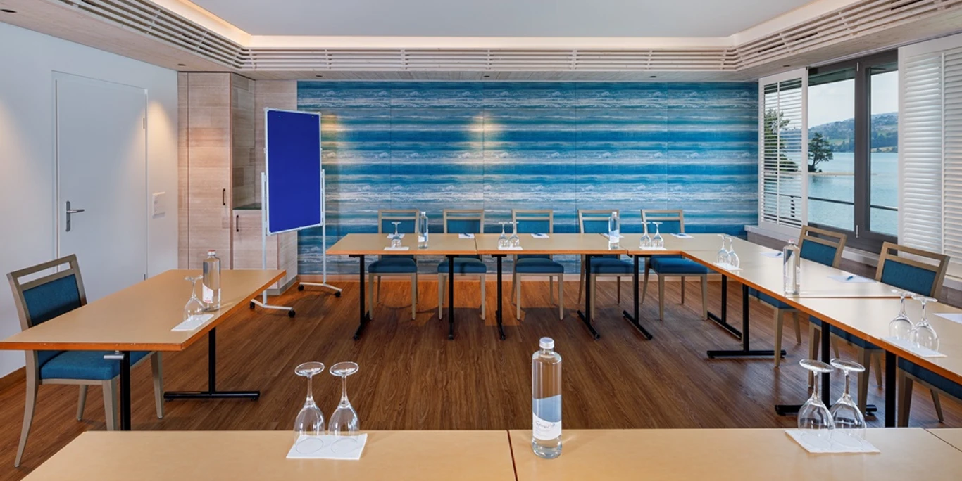 Meisterschwanden_Delphin_Delphinstübli_Sitzung02 (002)