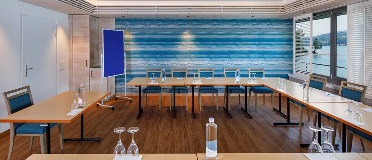 Meisterschwanden_Delphin_Delphinstübli_Sitzung02 (002)