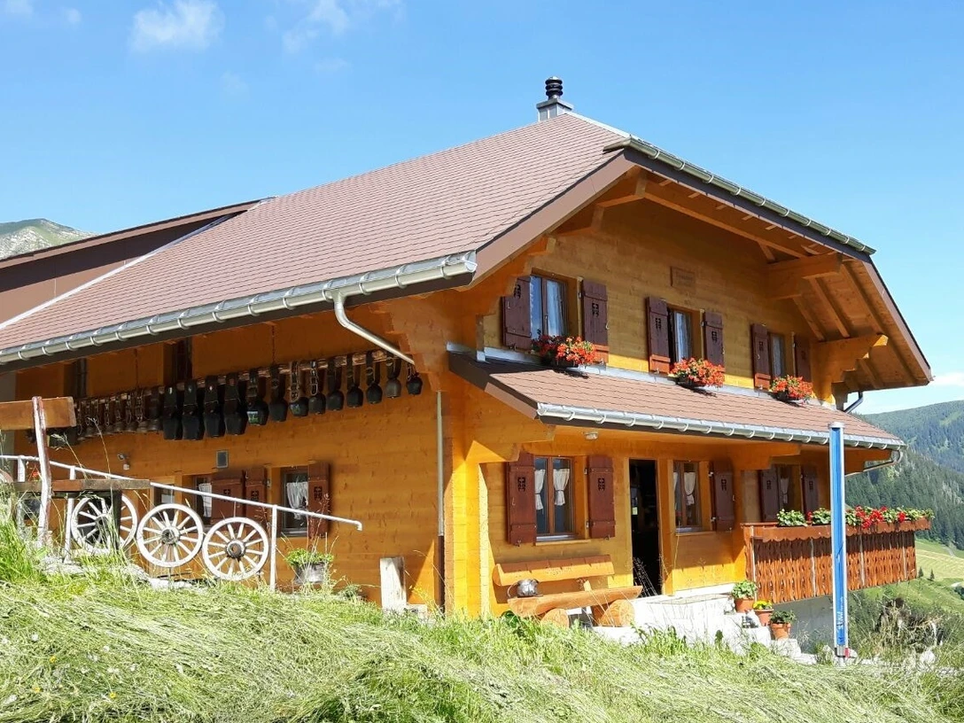 Alp Guggenen_2016.jpg