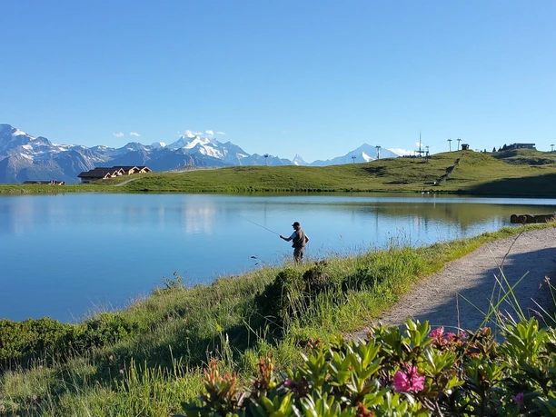 Rundwanderung um den Bettmersee
