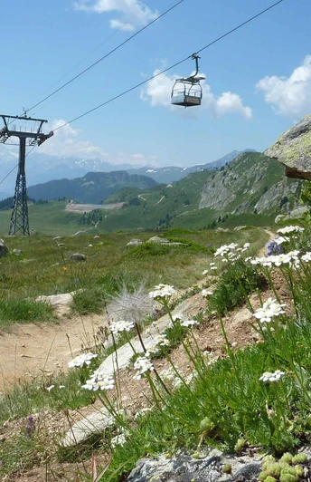 Themenweg Murmeltierlernpfad zum Bettmersee