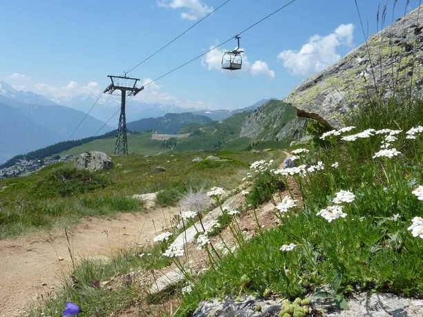 Themenweg Murmeltierlernpfad zum Bettmersee