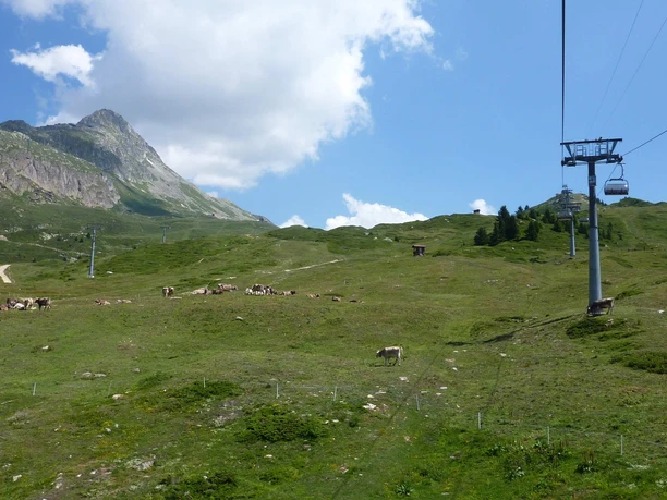 Themenweg Murmeltierlernpfad zum Bettmersee