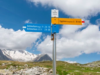 Alpine Wanderung UNESCO-Höhenweg vom Bettmerhorn zum Eggishorn