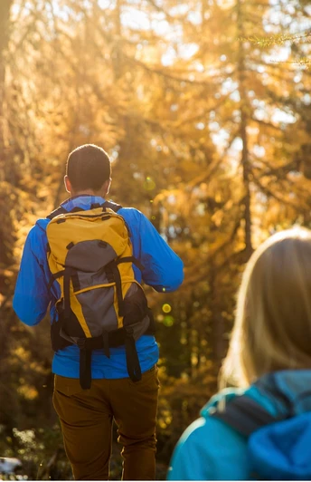 Rundwanderung von der Bettmeralp durch den Aletschwald und zurück