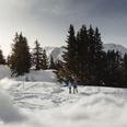 Winterwanderweg Waldpromenade Bettmeralp
