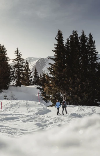 Winterwanderweg Waldpromenade Bettmeralp