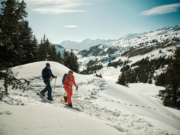 Bettmeralp - Riederalp Trail