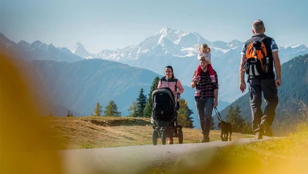 Wanderung von der Fiescheralp zur Riederalp via "Herrenweg" und "Aletschpromenade"