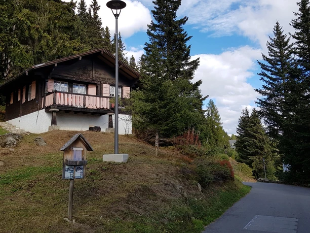 Wanderung von der Bettmeralp über die Aletschpromenade zur Riederalp