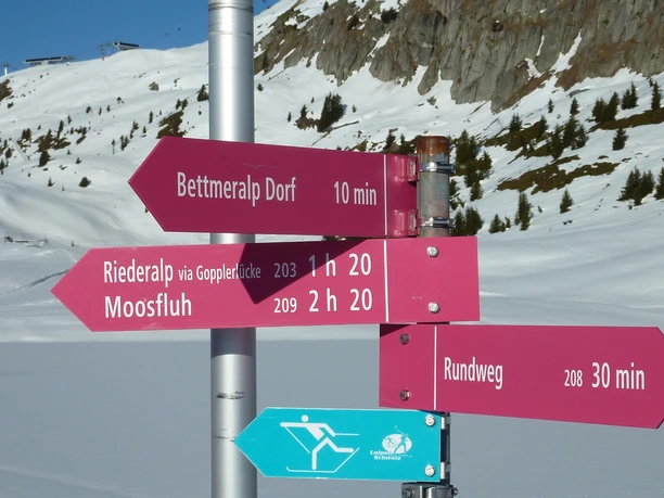 Winterwanderung Rundweg Bettmersee - Alpstallung