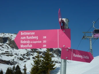 Winterwanderung Rundweg Bettmeralp - Lischa
