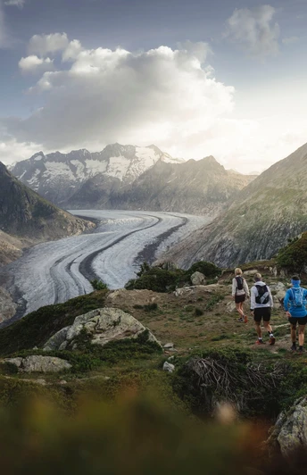 Aletsch Halbmarathon – Laufklassiker im UNESCO Welterbe