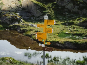 Wanderung vom Bettmerhorn via Riederfurka zur Riederalp