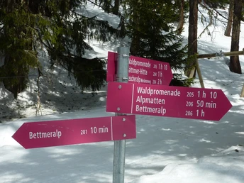 Winterwanderung Rundweg Bettmeralp "Waldpromenade"