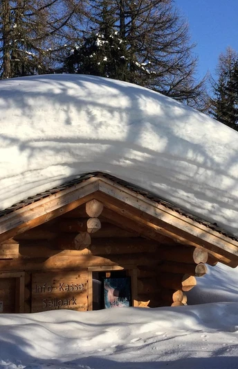 Winterwanderung Bettmeralp - Ried - Bettmeralp «Waldpromenade»