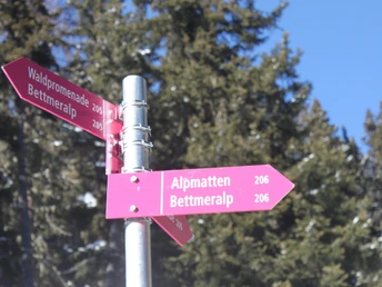 Winterwanderung Bettmeralp - Ried - Bettmeralp «Waldpromenade»