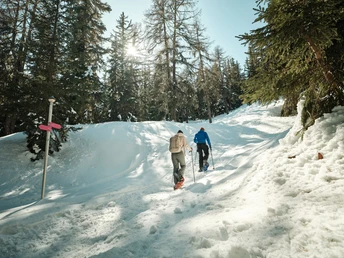 Bettmeralp - Riederalp Trail
