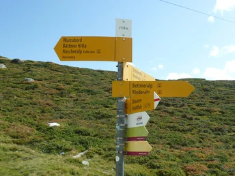Wanderung von der Fiescheralp zur Riederalp via "Herrenweg" und "Aletschpromenade"