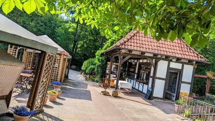 Lauschige Terrasse eines Waldhotels mit Pflanzendekor und Holzpavillon, umgeben von grüner Natur.