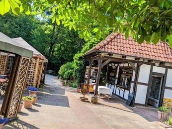 Lauschige Terrasse eines Waldhotels mit Pflanzendekor und Holzpavillon, umgeben von grüner Natur.