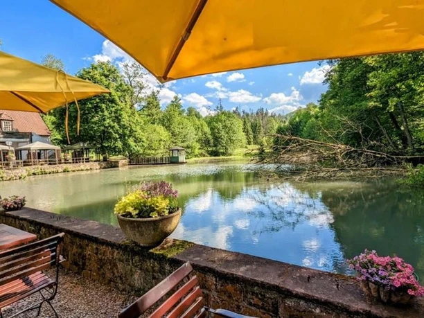 Sonnige Terrasse mit Holztischen und gelben Schirmen am See, umgeben von dichtem Wald und blühenden Pflanzen.